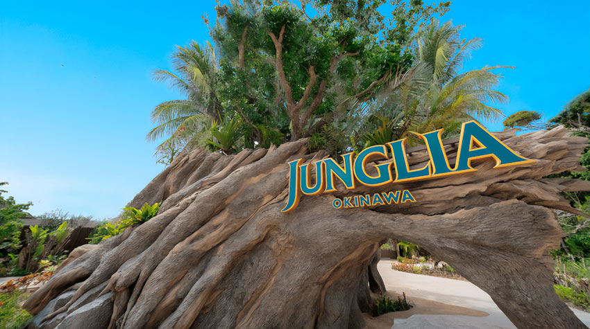 Junglia Okinawa Tree