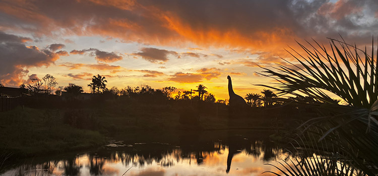 Junglia Okinawa Dinosaur Junglia Okinawa Dinosaur Safari Braquiossauro
